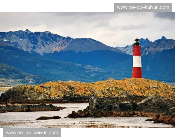 宿命的交响诗:当潘帕斯雄鹰遇上非洲雄鹰,绿茵场上的永恒狂想