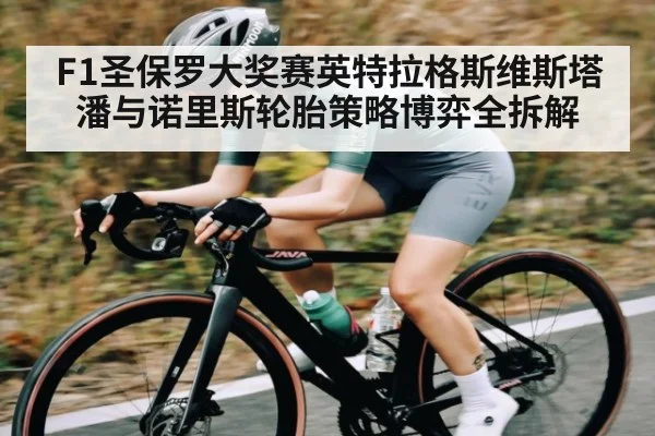 F1圣保罗大奖赛英特拉格斯维斯塔潘与诺里斯轮胎策略博弈全拆解